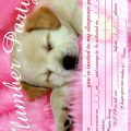 Birthday Invitation For 12 Year Old Girls