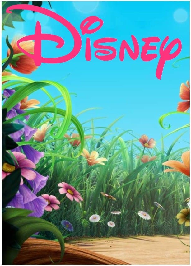 Template For Disney Party Invitation
