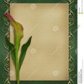 Download Invitation Card
