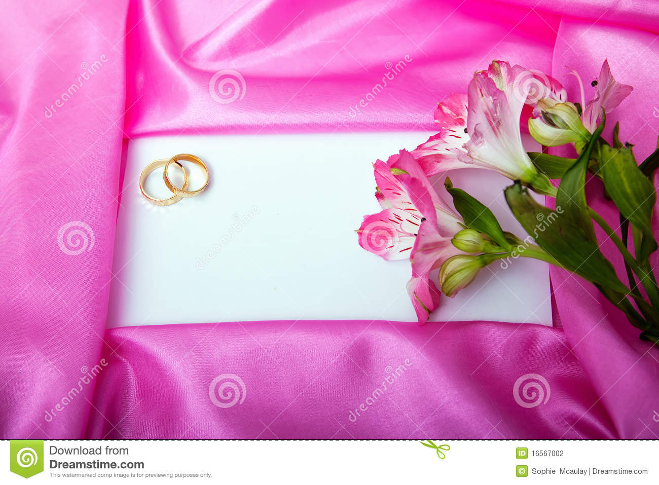 Wedding Invite Blank Stock Photo  Image Of Announcement